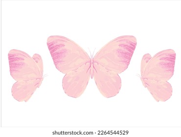 pink butterfly hand drawn design vector