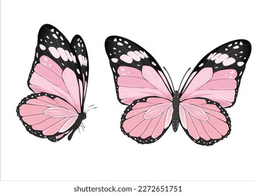pink butterfly hand drawn design vector 
