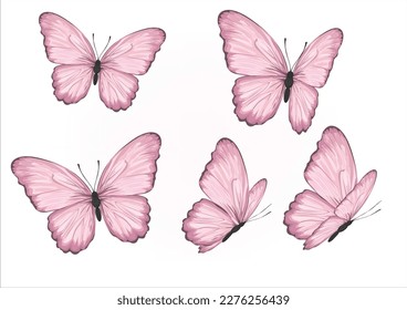 pink butterfly hand drawn design vector 