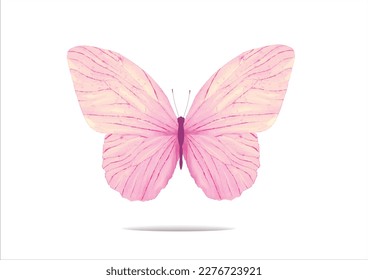 pink butterfly hand drawn design vector