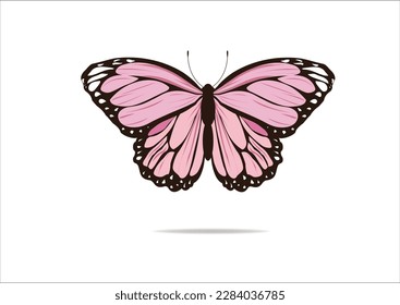pink butterfly hand drawn design vector