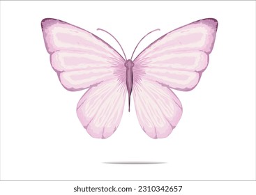 pink butterfly hand drawn design vector