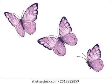 pink butterfly hand drawn design