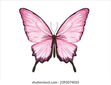 pink butterfly hand drawn design vector