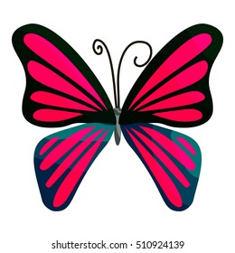 Pink butterfly icon. Cartoon illustration of pink butterfly vector icon for web