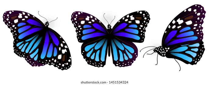 Pink  butterfly, isolated on a white