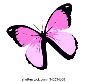 Pink butterfly , isolated on white