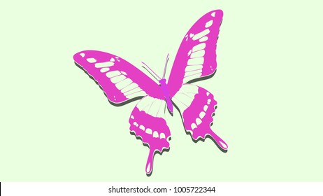 pink butterfly on the album sheet