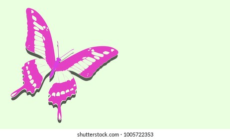 pink butterfly on the album sheet