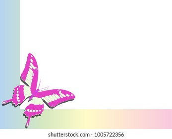 pink butterfly on the edge of the album sheet, a place to copy in a colorful frame