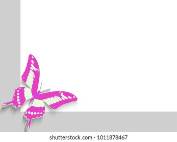 pink butterfly on the edge of the album sheet, a place to copy in a gray frame