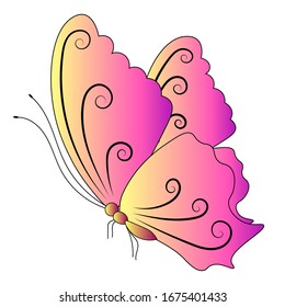 Pink butterfly on an isolated white background. Side view