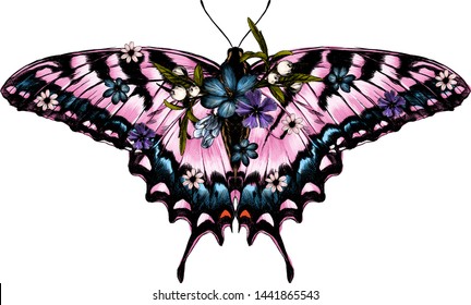 pink butterfly with open wings top view decorated with flowers, sketch vector graphic color illustration on white background