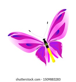 Pink butterfly vector design, animals vector design, single butterfly vector.