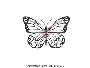 Pink Butterfly Vector Hand Drawn Design Stock Vector (Royalty Free ...