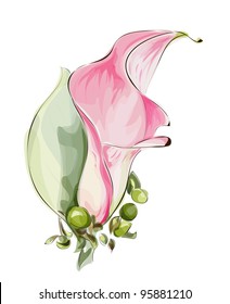 Pink Calla. Imitation watercolor. Vector illustration.