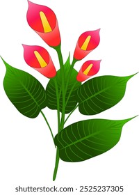 Flores de lirio calla rosa, hermosa decoración de flores, lirios calla rosa, en Brasil son muy apreciados y popularmente conocidos como vasos de leche. En formato de archivo de Vector, para hacer logotipos e íconos.