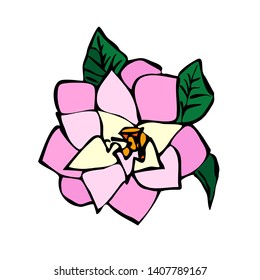 Pink camelia flower isolated. Vector.Template illustration for card.