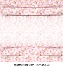 Pink card with apple flowers. Vector eps-10.
