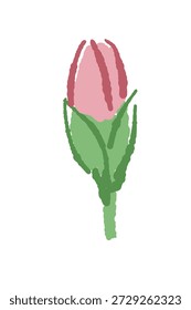 Rosa Nelke Knospe Öffnung Vektorgrafik