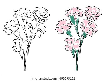 pink carnations vector outline sketch
flower illustration