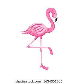 Pink cartoon flamingo isolated on white background - colorful tropical bird with long neck standing on one leg. Trendy flat wildlife decoration - vector illustration.