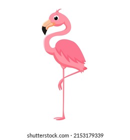 Pink cartoon flamingo. Vector illustration isolated on white background