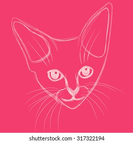 Pink cat