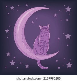 Pink cat sitting on the moon. Enigmatic dreamy and micterious. Good night. Vector, comic.