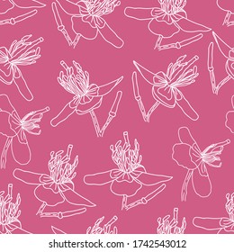 Pink Celandine Flower Pattern Background