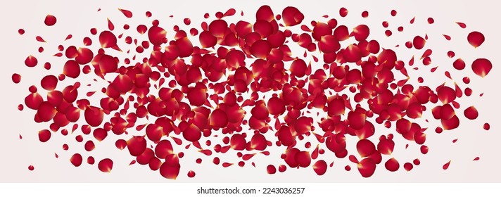 Pink Cherry Beauty Vector Panoramic White Background. Falling Lotus Banner. Beautiful Blossom Blur Illustration. Delicate Floral Japanese Texture.
