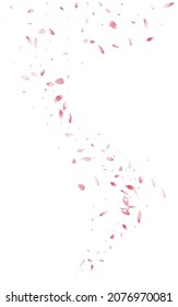 Pink Cherry Beauty Vector White Background. Fall Petal Wallpaper. Delicate Peach Fly Poster. Red Rose Falling Banner.