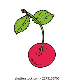 pink cherry berry with green leaves. bright red round cherry tree berries with two green leaves, painted in sketch style, isolated on white for design template