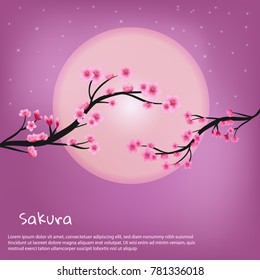 Pink cherry blossom background.Cherry blossom background