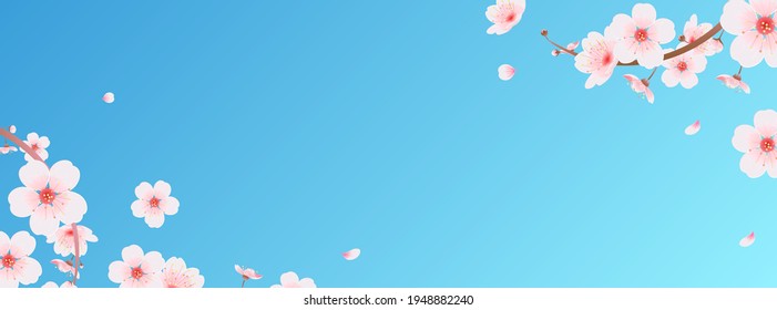 Pink Cherry Blossom Banner Background Vector Stock Vector (Royalty Free ...