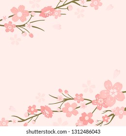 Pink cherry blossom blank background vectot