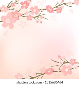 Pink cherry blossom blank background vectot
