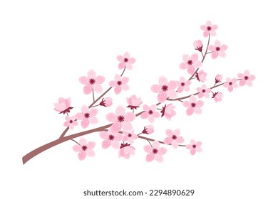 Rama de cerezo rosado aislado en fondo blanco. Ilustración vectorial de la rama sakura en estilo plano