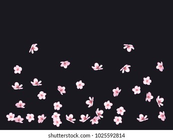 Pink Cherry Blossom Confetti Falling Down. Tender Wedding Birthday Background. Funky Love Pink Cherry Blossom Confetti. Sakura, Apple or Apricot Blooming Spring Showering. Elegant Magic Falling Petals