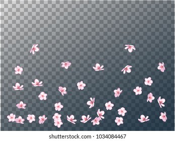 Pink Cherry Blossom Confetti Falling Down. Tender Wedding Romantic Decoration. Funky Love Pink Cherry Blossom Confetti. Apple, Sakura or Apricot Blooming Spring Showering. Elegant Magic Falling Petals