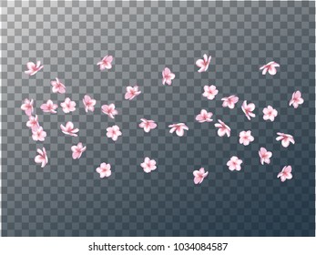 Pink Cherry Blossom Confetti Flying. Tender Wedding Birthday Background. Realistic Pink Cherry Blossom Confetti. Spring Apple, Sakura or Apricot Blooming Showering. Elegant Magic Flying Petals.