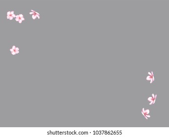 Pink Cherry Blossom Confetti Flying. Tender Wedding Birthday Background. Funky Love Pink Cherry Blossom Confetti. Sakura, Apple or Apricot Blooming Spring Showering. Elegant Magic Flying Petals.