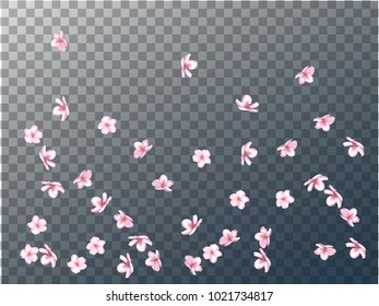 Pink Cherry Blossom Confetti Vector. Tender Wedding Romantic Background. Natural Pink Cherry Blossom Confetti. Spring Apple, Sakura or Apricot Blooming Showering. Light Magic Falling Petals.