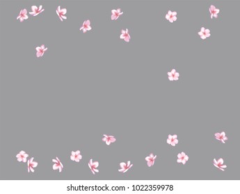 Pink Cherry Blossom Confetti Vector. Tender Wedding Birthday Background. Noble Love Pink Cherry Blossom Confetti. Spring Apple, Sakura or Apricot Blooming Showering. Elegant Magic Falling Petals