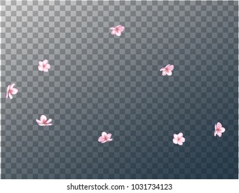 Pink Cherry Blossom Confetti Vector. Tender Wedding Romantic Decoration. Natural Pink Cherry Blossom Confetti. Sakura, Apple or Apricot Blooming Spring Showering. Elegant Magic Flying Petals.