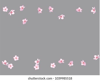 Pink Cherry Blossom Confetti Vector. 