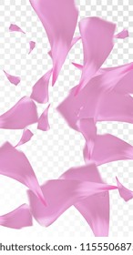 Pink Cherry Blossom Falling Down. Isolated Vector illustration of Cherry Blossom. Flying Pink Sakura Petals Background. Design of Greeting or Invitation Card. 
