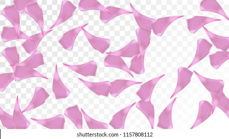 Pink Cherry Blossom Falling Down. Isolated Vector illustration of Cherry Blossom. Flying Pink Sakura Petals Background. Design of Greeting or Invitation Card. 
