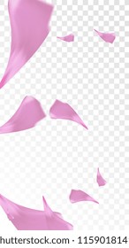 Pink Cherry Blossom Falling Down. Isolated Vector illustration of Cherry Blossom. Flying Pink Sakura Petals Background. Design of Greeting or Invitation Card. 
