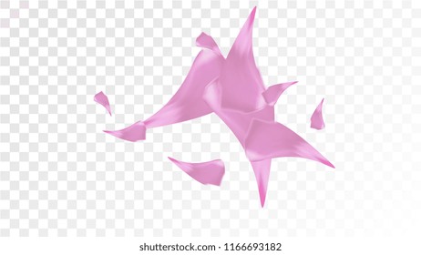 Pink Cherry Blossom Falling Down. Isolated Vector illustration of Cherry Blossom. Flying Pink Sakura Petals Background. Design of Greeting or Invitation Card. 

